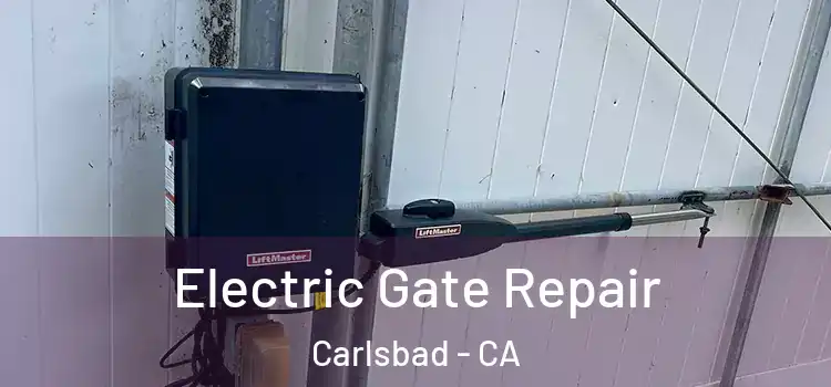  Electric Gate Repair Carlsbad - CA