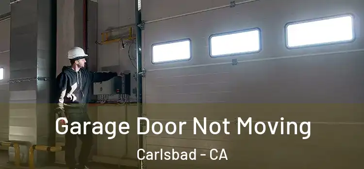  Garage Door Not Moving Carlsbad - CA