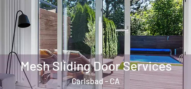 Mesh Sliding Door Services Carlsbad - CA